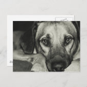 相棒はがき ポストカード (正面/裏面)