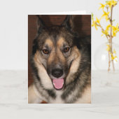 相棒グリーティングカード カード (黄色い花)