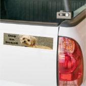 相棒_ バンパーステッカー (トラック上)