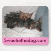 相棒 マウスパッド (正面)