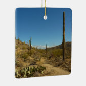 相模良国立公園のSaguaro's Carillo Trail セラミックオーナメント (右)