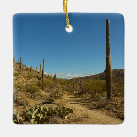 相模良国立公園のSaguaro's Carillo Trail セラミックオーナメント (正面)