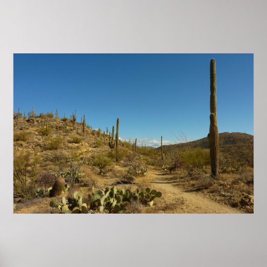 相模良国立公園のSaguaro's Carillo Trail ポスター (正面)