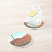 相模良国立公園 コースター (側面)