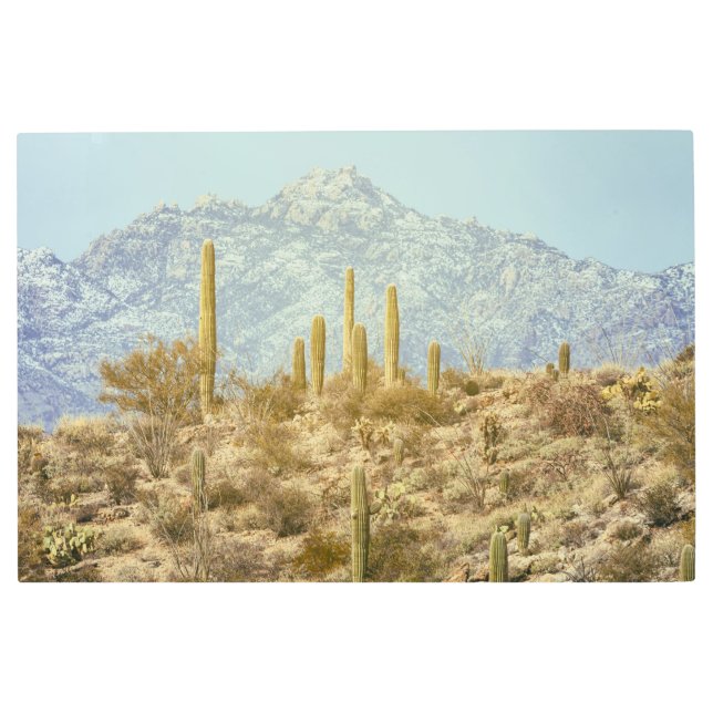 相模良国立公園 メタルプリント (正面)