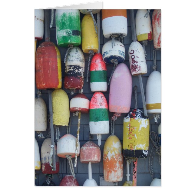 相違の海の類似 (正面)