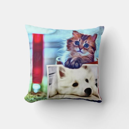 相違点の分離 クッション (正面)