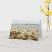 相違-ビーチの貝そして小石 カード (黄色い花)