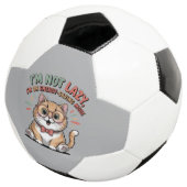 省エネモードの猫 サッカーボール (3/4)