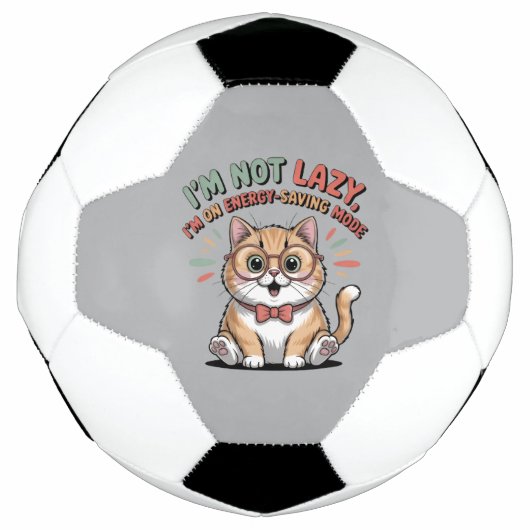 省エネモードの猫 サッカーボール (正面)