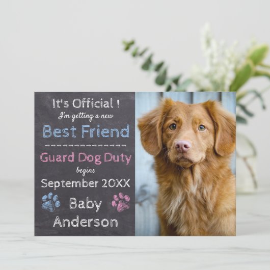 看守の職務妊娠の告知 案内状 (スタンド正面)