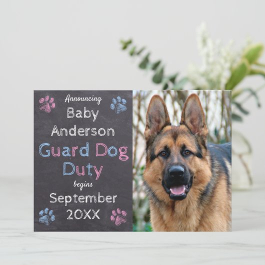 看守犬の任務が妊娠の発表を開始 案内状 (スタンド正面)