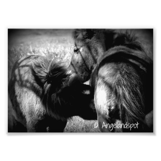 看護フィリー フォトプリント            (正面)