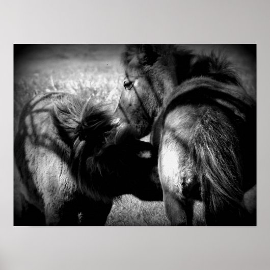 看護フィリー ポスター (正面)