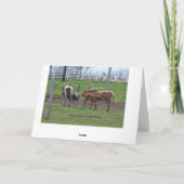 看護フォール カード (裏面)