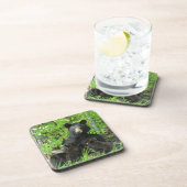 看護ブラックベアとツインキューブ コースター (右側)