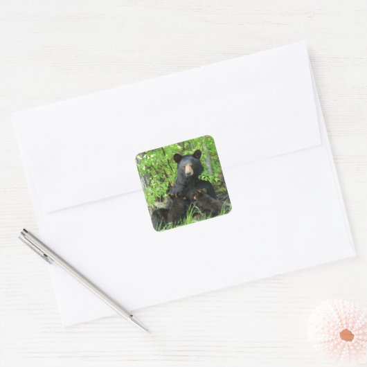 看護ブラックベアとツインキューブ スクエアシール (封筒)