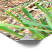 看護ブラックベアとツインキューブ ポスター (角)