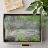 看護ブラックベアとツインキューブ 薄葉紙 (ギフト)