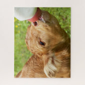 看護ボトルベビーカーフ ジグソーパズル (縦)