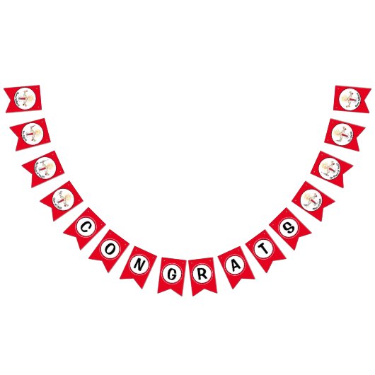 看護大学院RN LPA CNAバナー バンティングフラッグ (全)