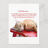 看護学生用の猫 – 疲れ果てた ポストカード (正面)