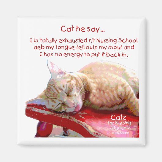 看護学生用の猫 – 疲れ果てた マグネット (正面)