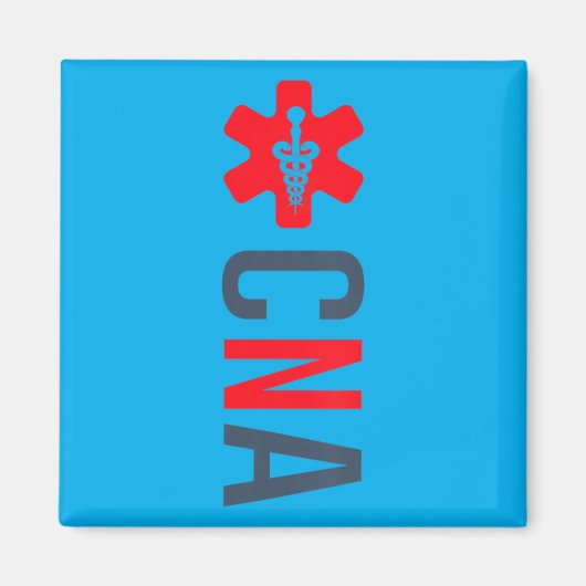 看護師 即時認定看護 即時CNA 裏面 マグネット (正面)