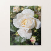 真かわいらし白バラ花愛、ロマンス ジグソーパズル (縦)