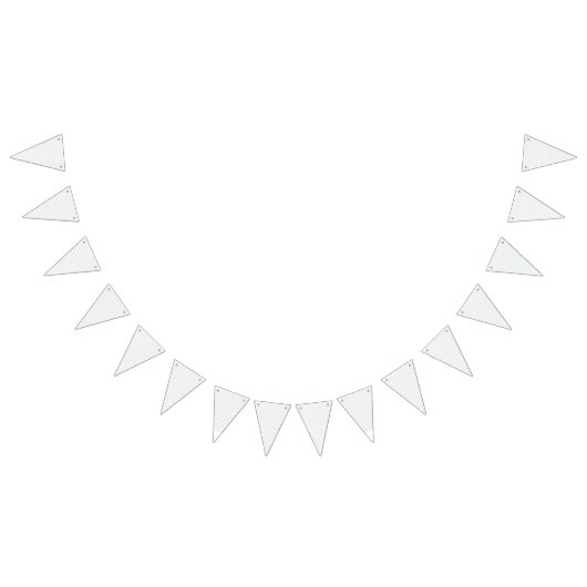 真っ白で特徴のない表面が広がっている。 バンティングフラッグ (全)