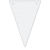 真っ白で特徴のない表面が広がっている。 バンティングフラッグ (第2の旗)