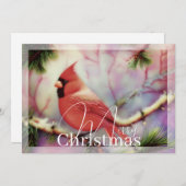 真っ赤なカーディナルが冬の枝に止まって、クリスマスの予算を考える シーズンカード (正面/裏面)
