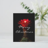 真っ赤なトーチサボテンの花 メリークリスマス シーズンポストカード (スタンド正面)