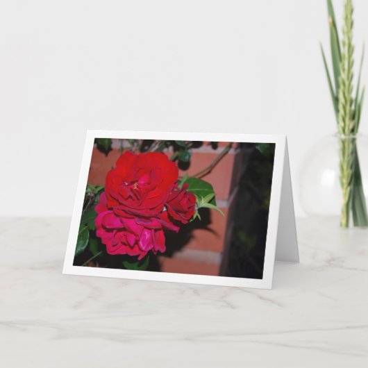 真っ赤なバラの束 カード (正面)