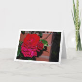 真っ赤なバラの花束 カード (正面)