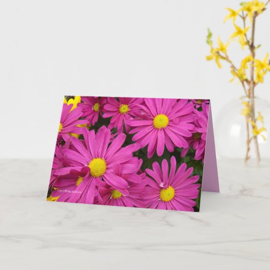 真っ赤なピンク カード (黄色い花)