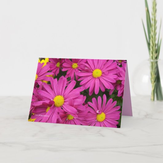 真っ赤なピンク カード (正面)