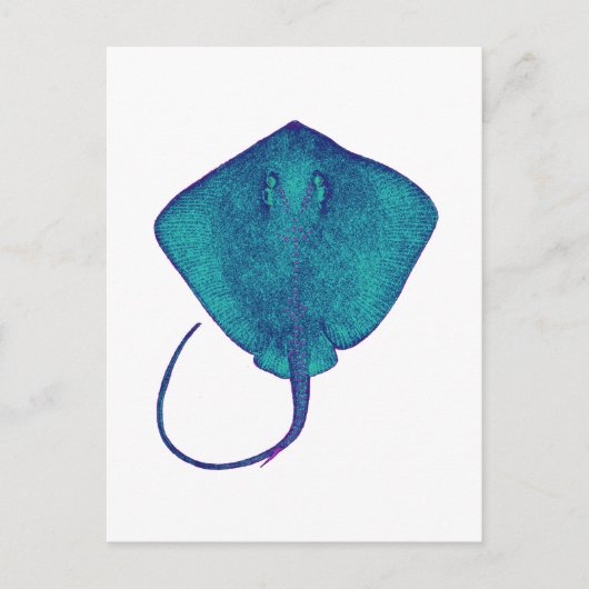 真っ青で ポストカード (正面)