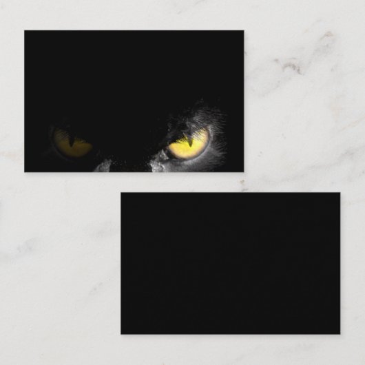 真っ黒な視線を放つアルファ猫 名刺 (正面/裏面)