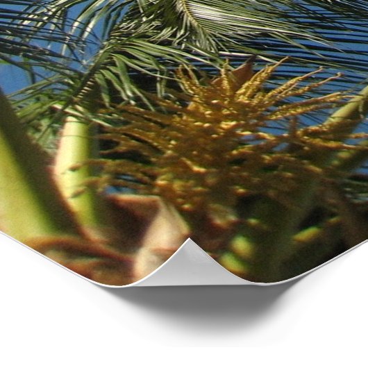 真のくつろぎ ポスター (角)