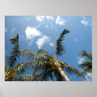 真のくつろぎ ポスター