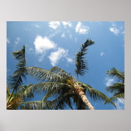 真のくつろぎ ポスター (正面)