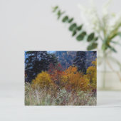 真のスモーキー山の秋 ポストカード (スタンド正面)