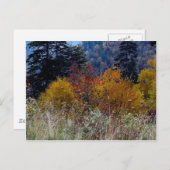 真のスモーキー山の秋 ポストカード (正面/裏面)