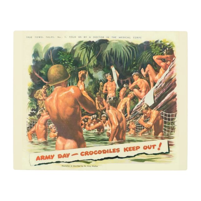 真のタオルテイルズNo.1 of 6メタルプリント メタルプリント (正面)