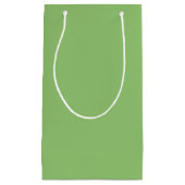 真のピスタチオ緑 スモールペーパーバッグ (正面)