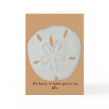 真の友人の恵みとドル