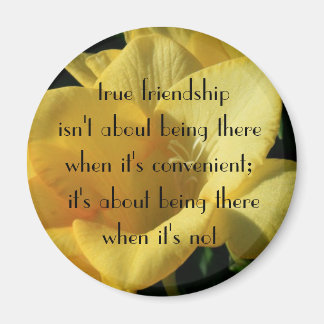 真の友好磁石 マグネット