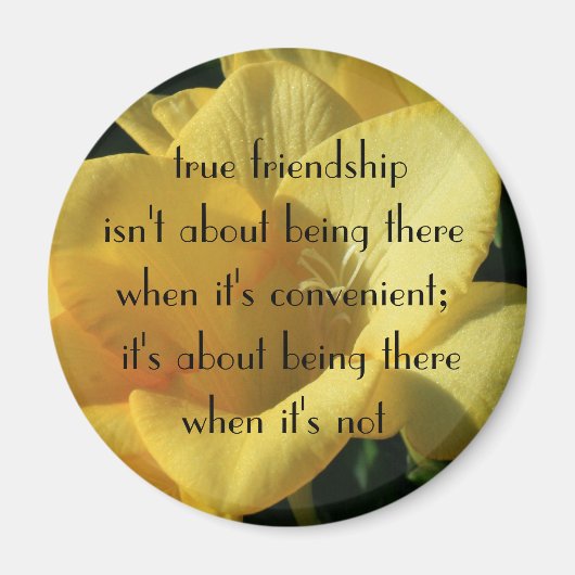 真の友好磁石 マグネット (正面)