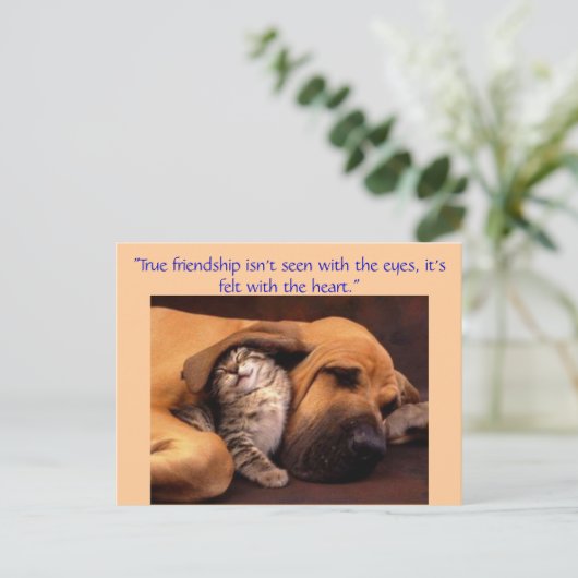 「真の友情… ポストカード (スタンド正面)